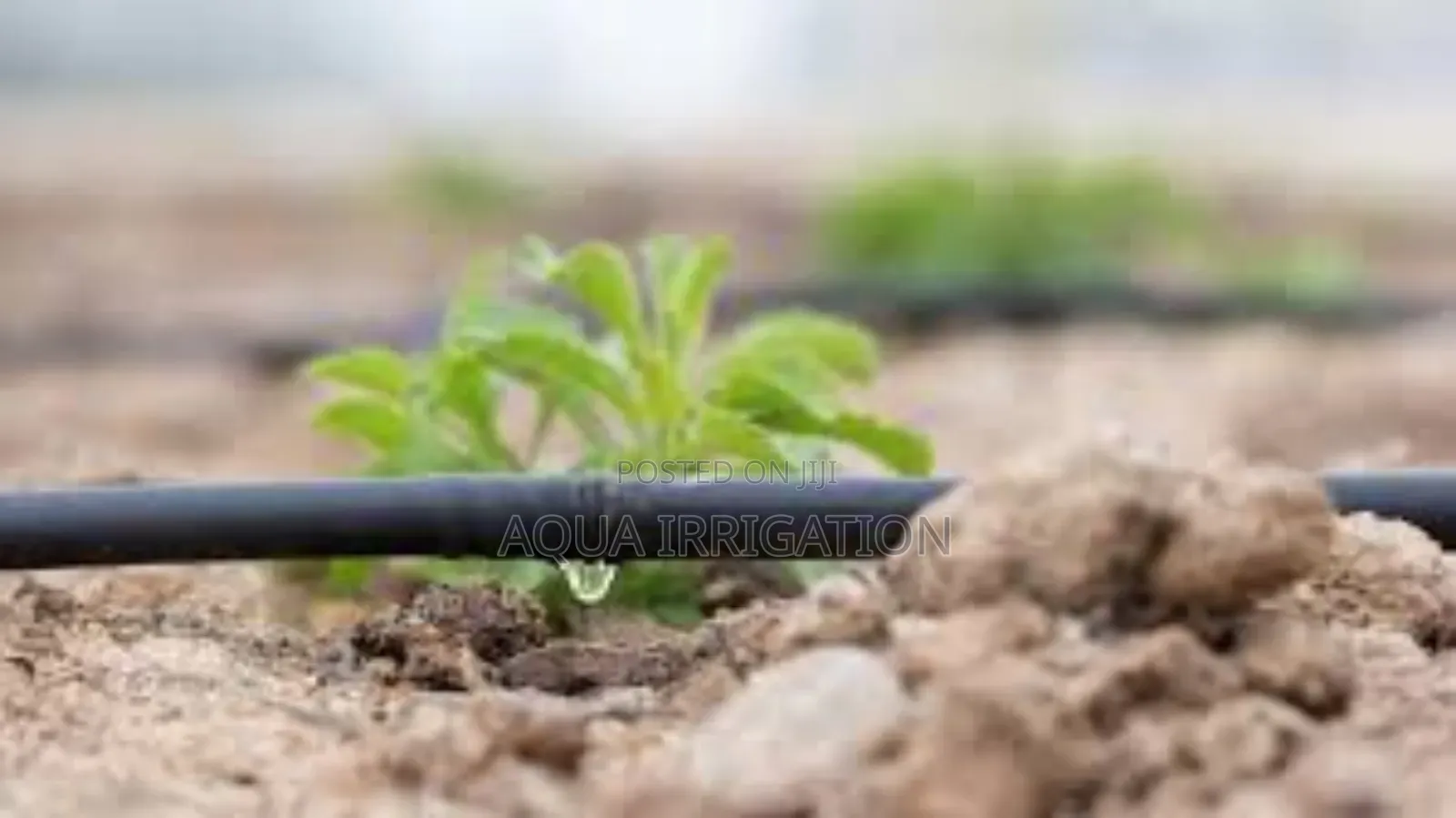 Water Every Plant With Precision