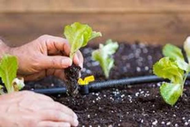 Grow Smarter With Drip Irrigation - main view