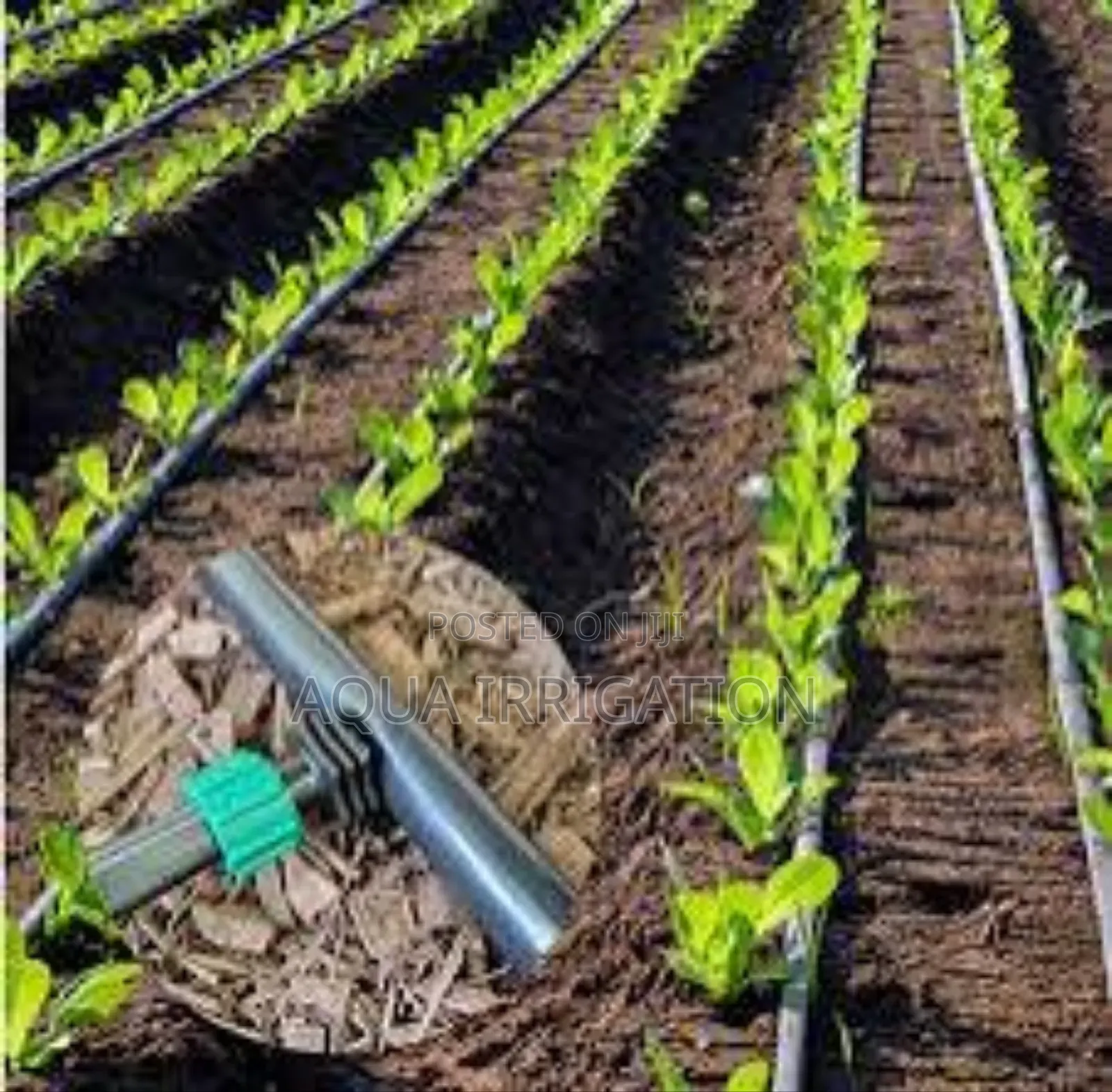 Water Efficiency Starts With Drip Irrigation!