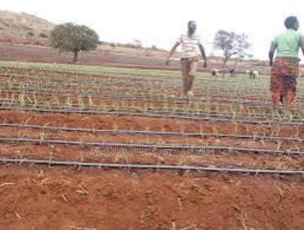 Drip Lines: More Growth, Less Work!
