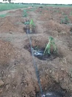 Maximize Your Harvest With Smart Watering!