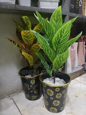 Counter Top/Table Artificial Plants