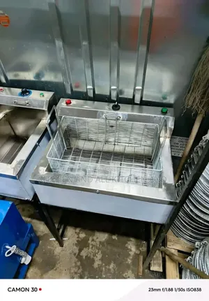 Morden Deep Fryer,Ss