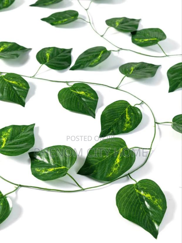 Decorative Wall Hanging Vines - main view