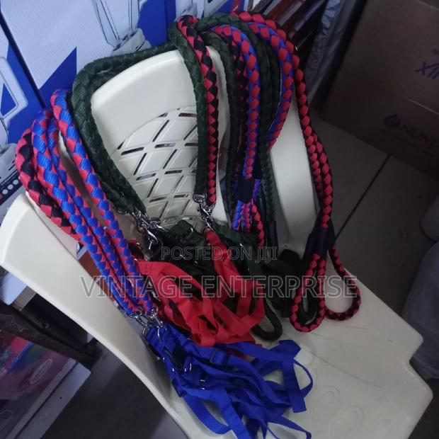 *Dog Leash Dog Leash* - main view