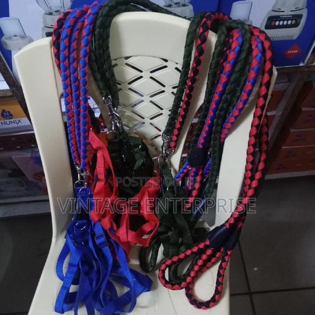 *Dog Leash Dog Leash* - thumbnail 3