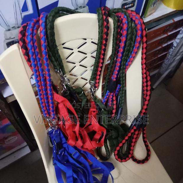 Dog Leash With Harness - thumbnail 3