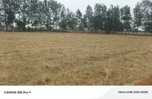 1/8 Plots After UOE MTI Moja.