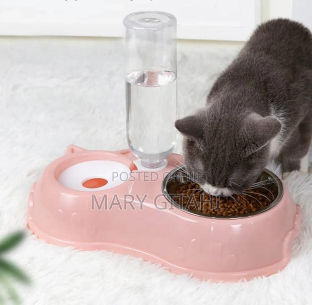 Automatic Single Pet Bowl Plus Water Dispenser - main view