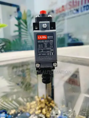 Plunger Limit Switch