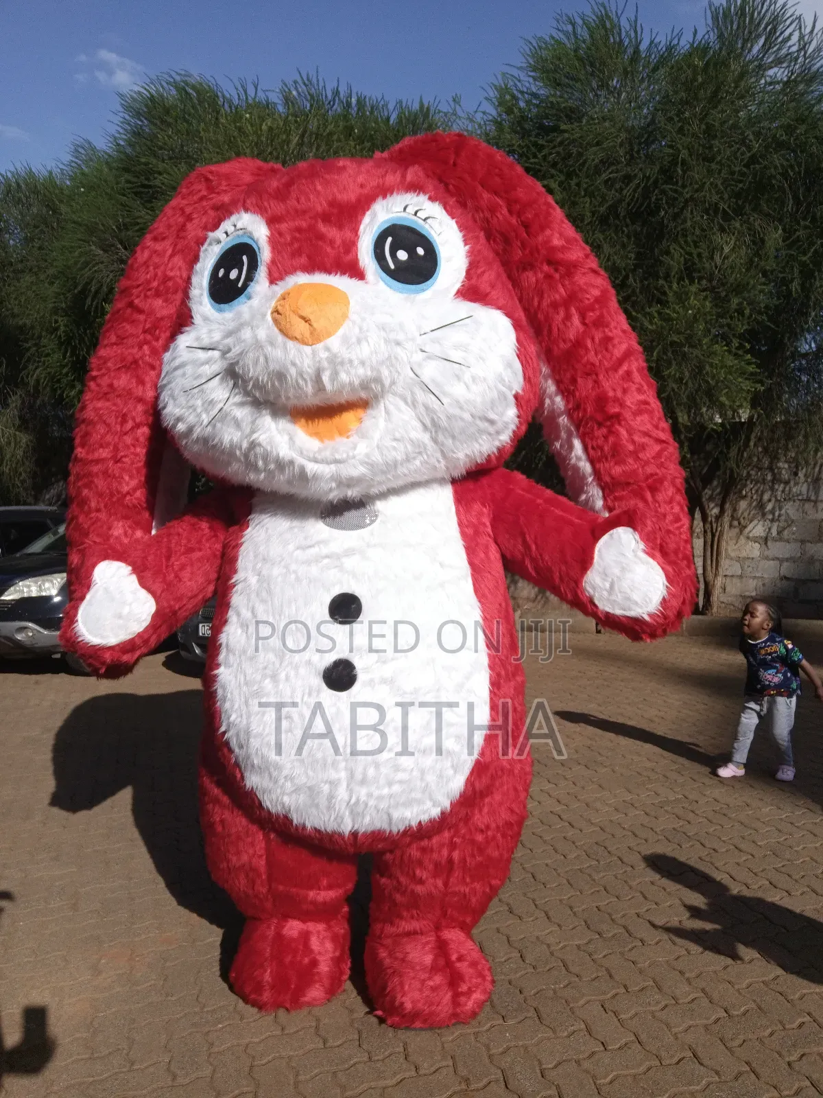 Inflatable Mascots Costumes for Sale