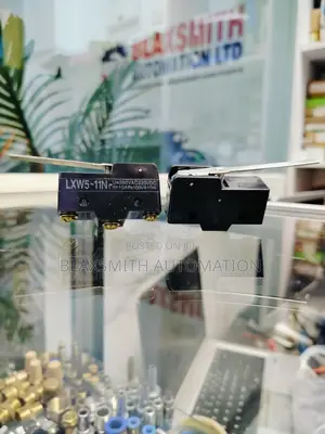 Mini Limit Switch Lxw5-11n