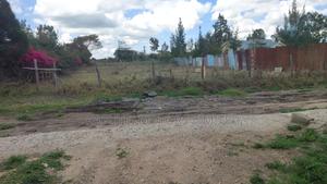 Isinya Prime1/4 Plot - thumbnail 2