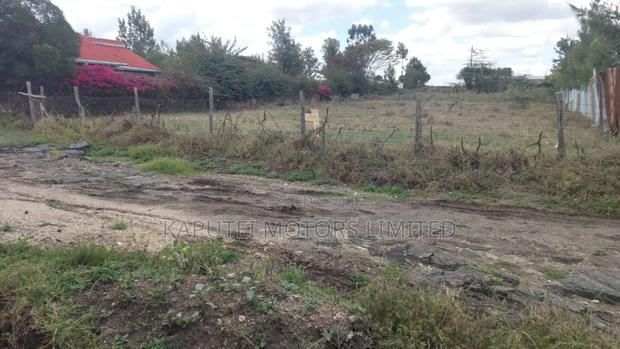 Isinya Prime1/4 Plot - thumbnail 3