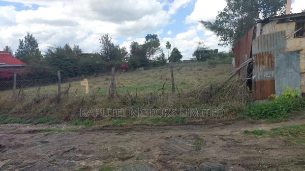 Isinya Prime1/4 Plot - thumbnail 5