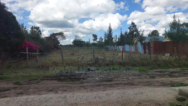 Isinya Prime1/4 Plot - thumbnail 8