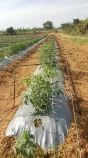 Mulch Film: Protect, Grow, and Save Water!