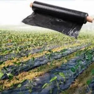 Mulch Film: Shield Soil, Enhance Growth!