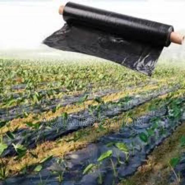 Mulch Film: Shield Soil, Enhance Growth!