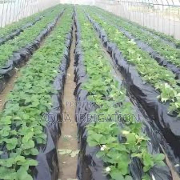 Mulch Film: The Key to Smart Farming!