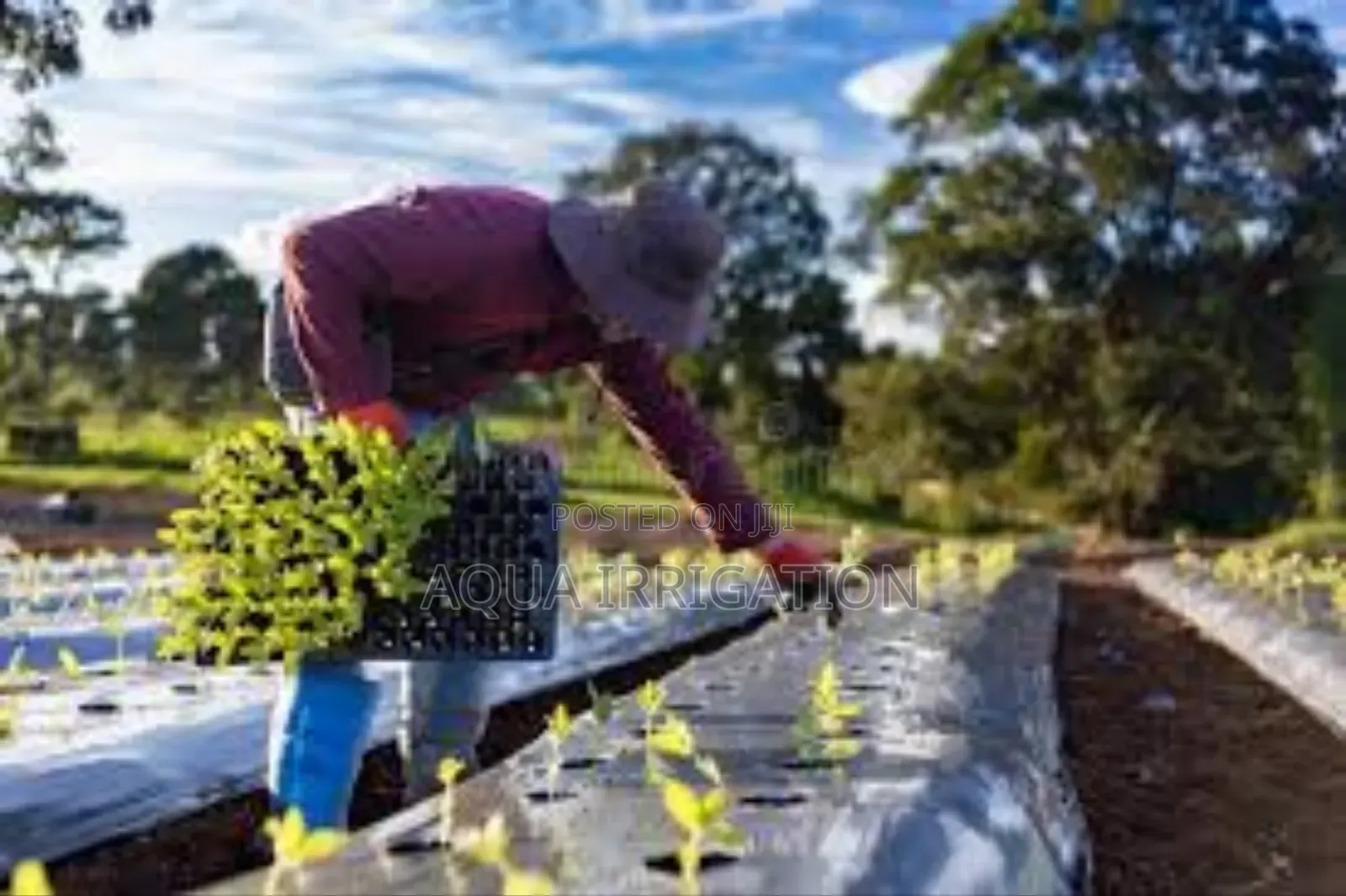 Keep Weeds Away With Mulch