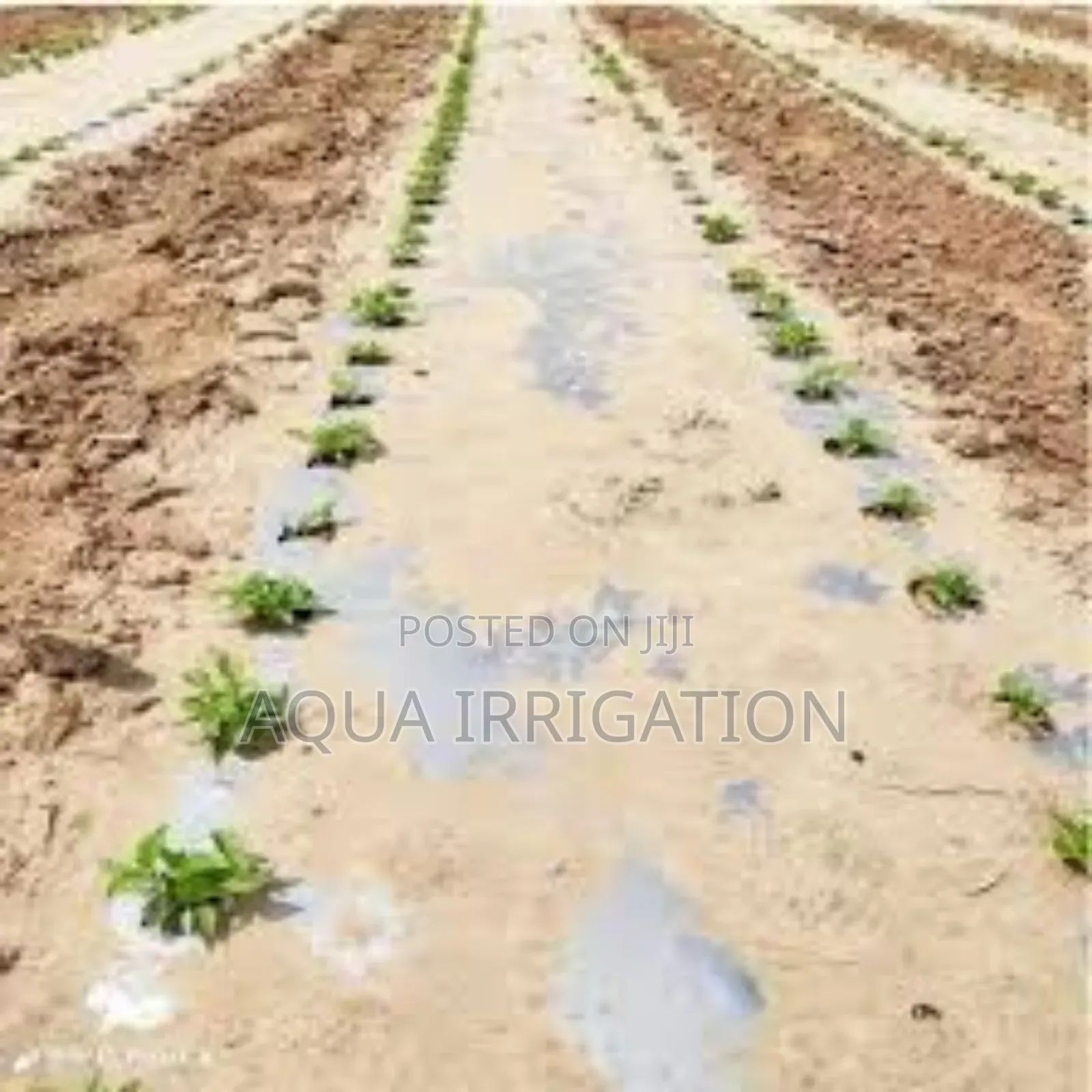 Mulch Film: Protect Soil, Boost Crops!