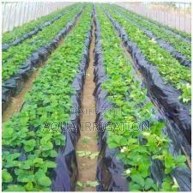 Keep Weeds Away With Mulch Film