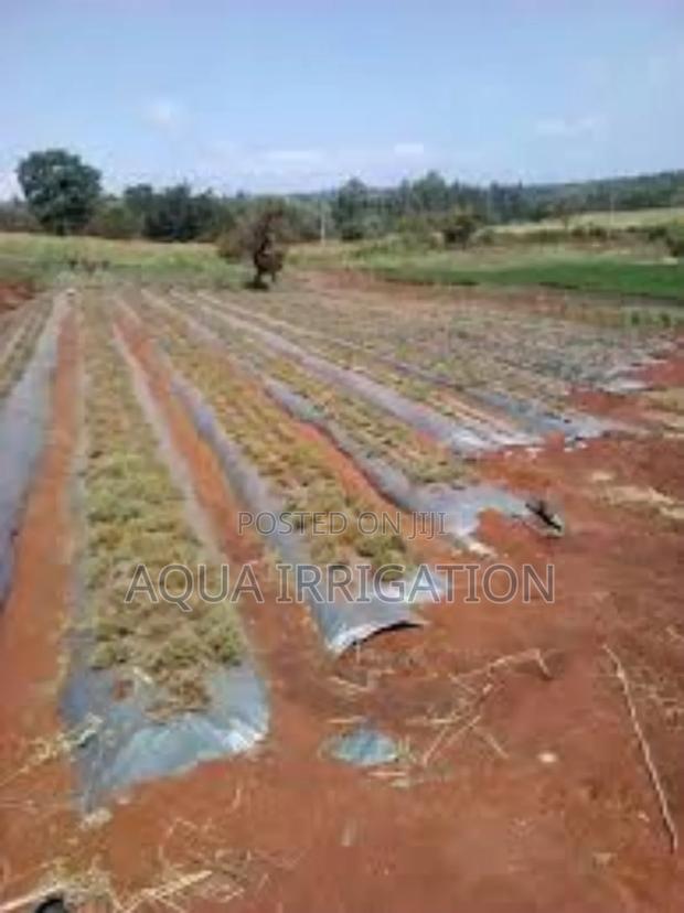 Mulch Film: Your Crop’S Best Protection