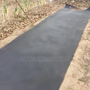 Higher Yields, Less Water With Mulch Film - thumbnail 2