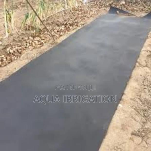 Higher Yields, Less Water With Mulch Film - main view