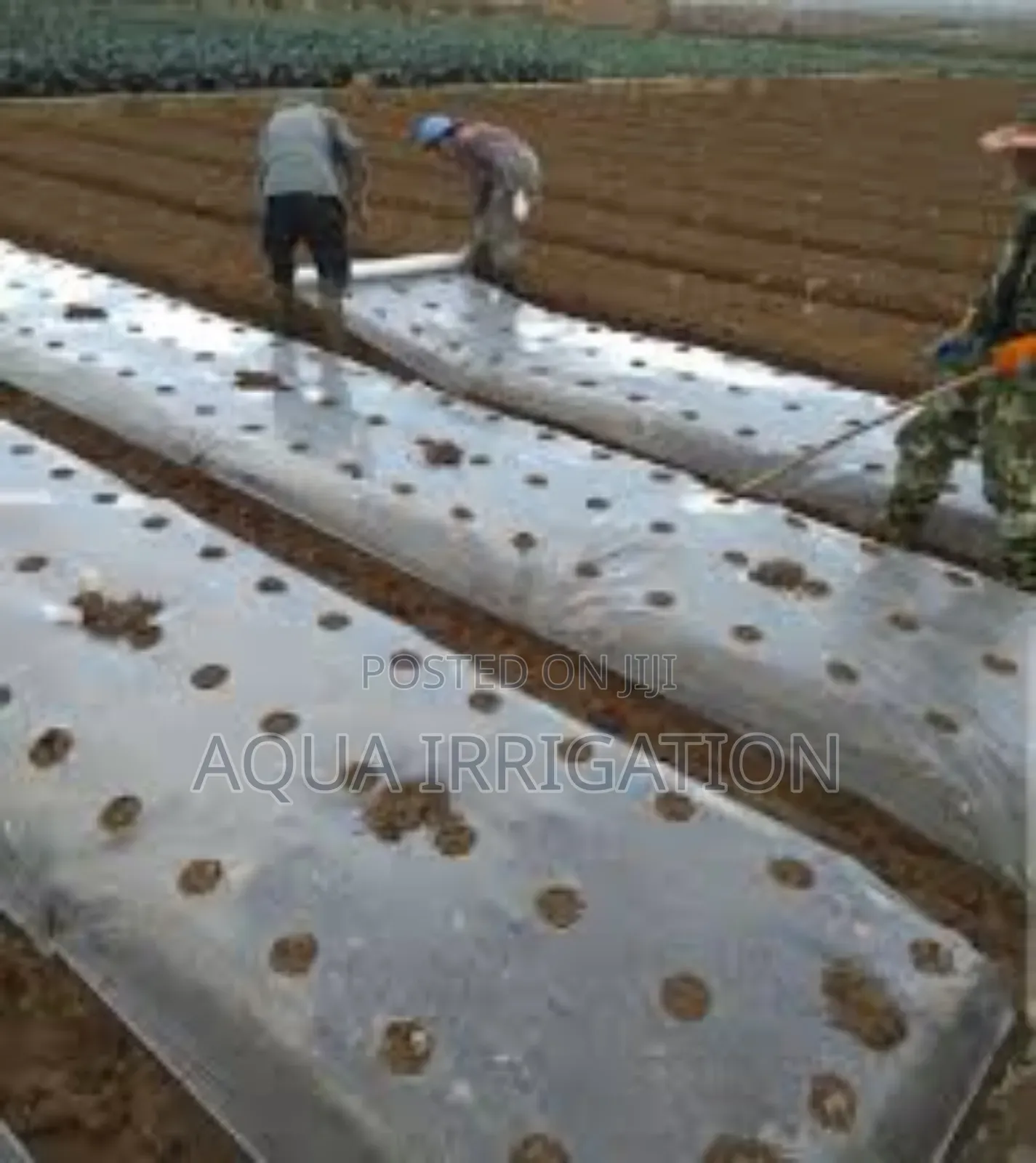 Grow More, Work Less With Mulch Film!