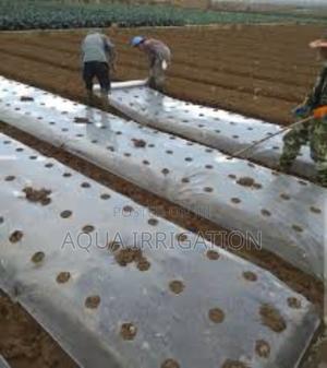 Grow More, Work Less With Mulch Film! - thumbnail 2