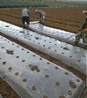 Grow More, Work Less With Mulch Film!