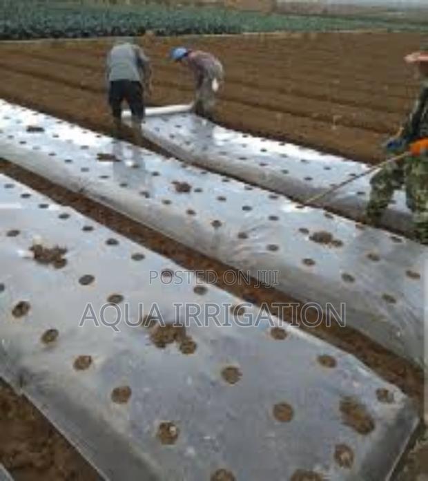 Grow More, Work Less With Mulch Film! - main view