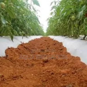 Mulch Film: A Must-Have for Smart Farming