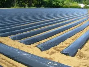 Keep Your Soil Healthy With Mulch Film!
