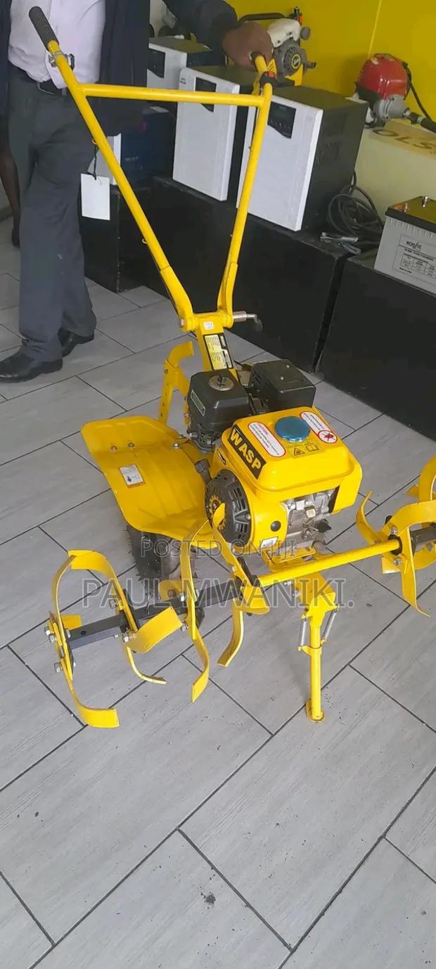 Wasp Power Tiller - thumbnail 4
