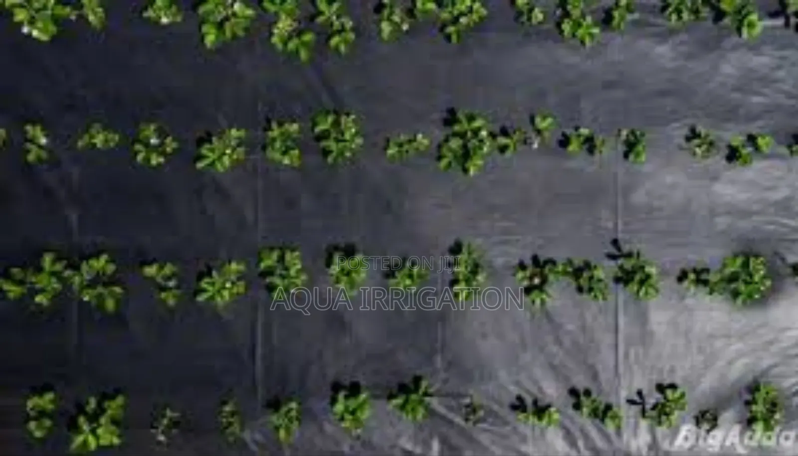 Boost Your Farm’S Efficiency With Mulch Film