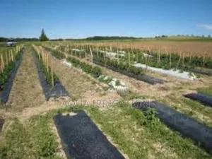 Mulch Film: Smart Protection for Your Plants!