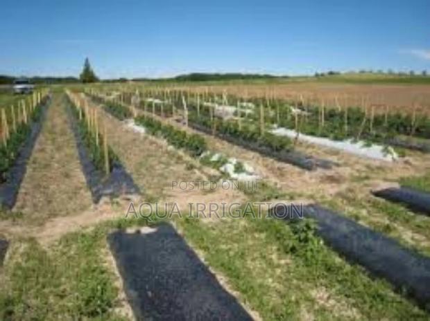 Mulch Film: Smart Protection for Your Plants!
