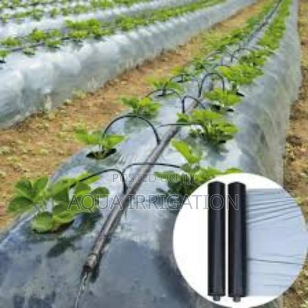 Mulch Film: The Easy Way to Healthy Crops