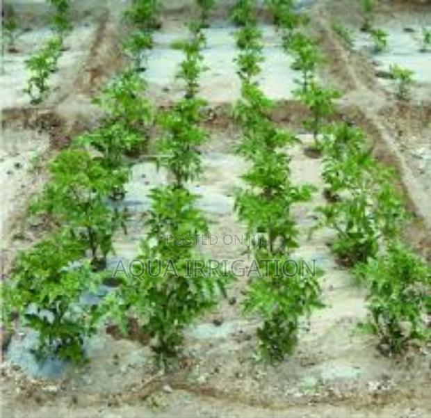 More Crops, Fewer Weeds – Mulch Film Wins!