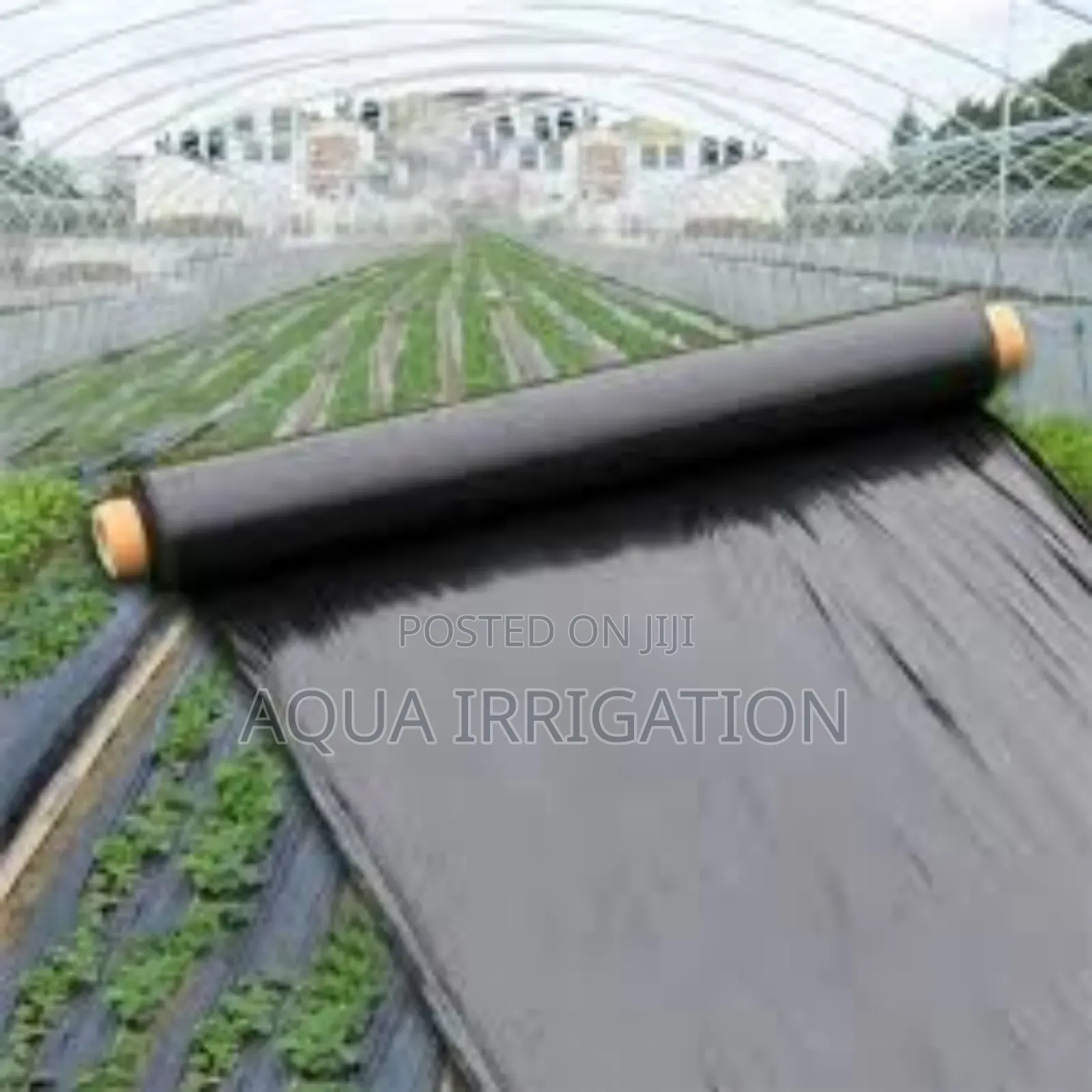 Mulch Film: Keep Your Soil Rich Productive