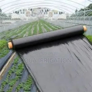 Mulch Film: Keep Your Soil Rich Productive