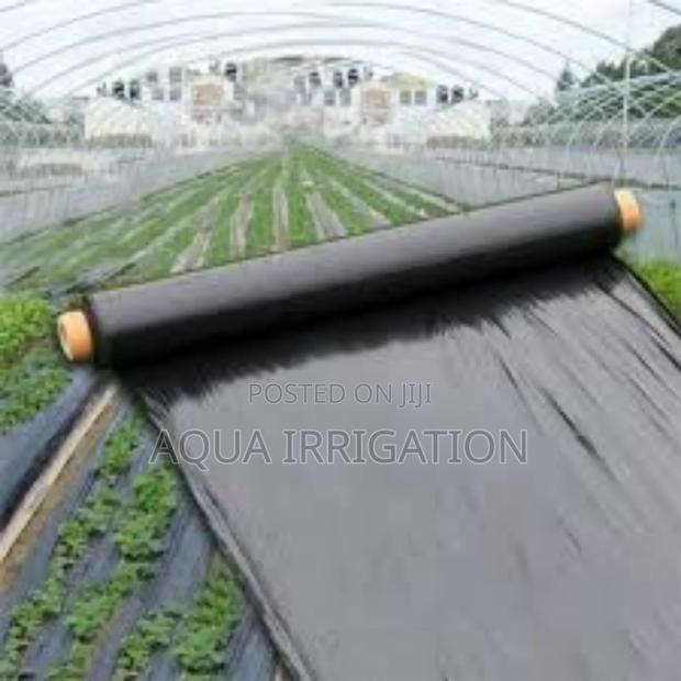 Mulch Film: Keep Your Soil Rich Productive