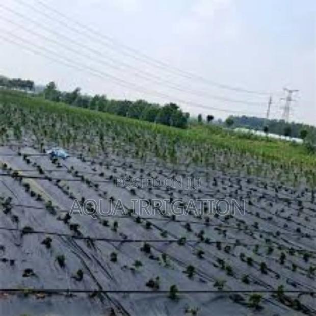 Preserve Soil Health With Mulch Film!