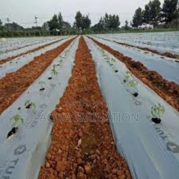 Healthy Soil, Healthy Crops – Mulch Film Works