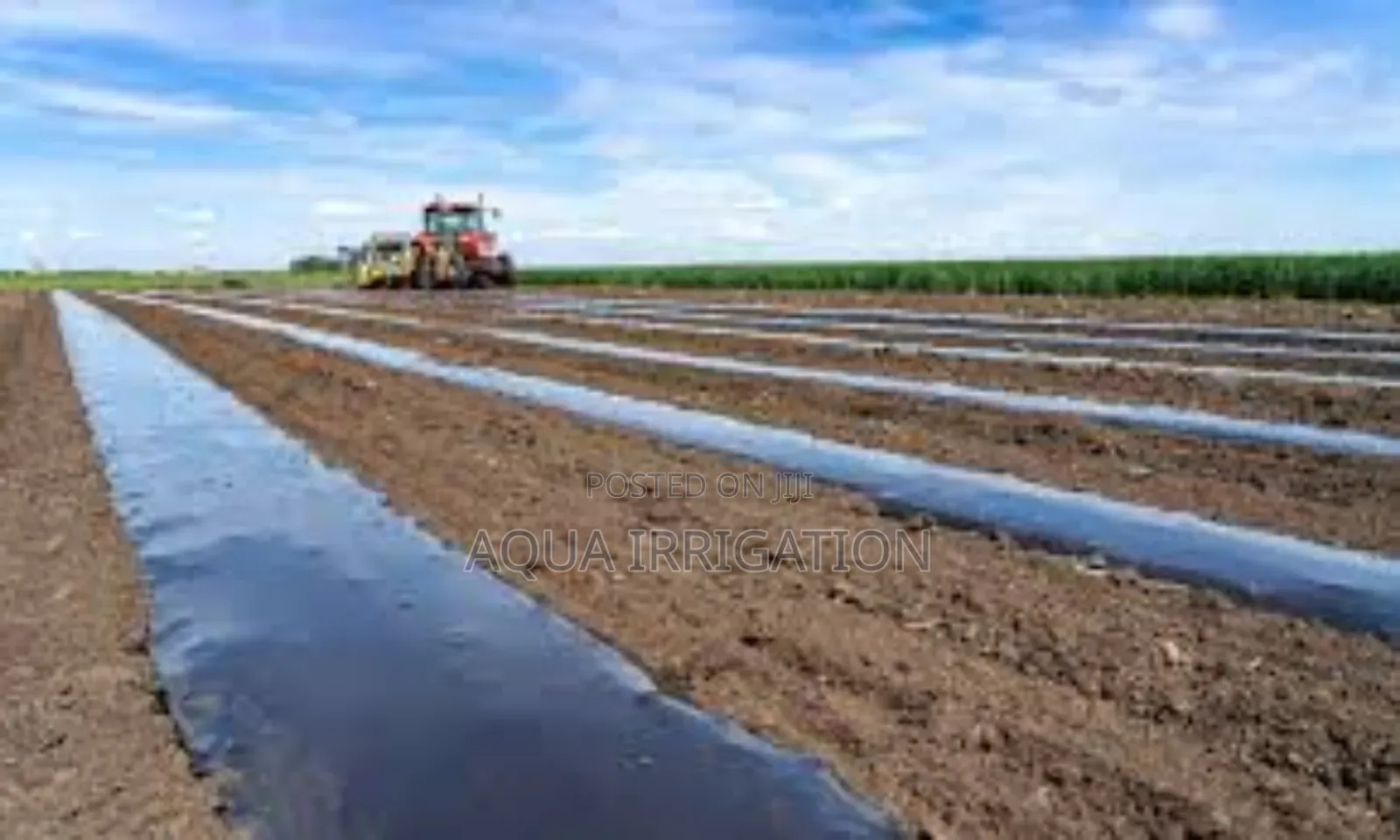 Mulch Film: Improve Crop Quality Instantly