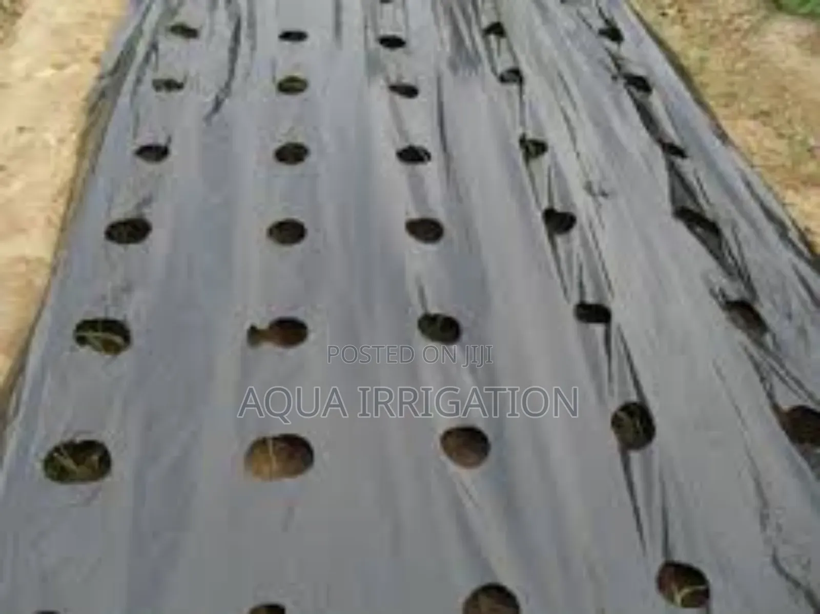 Save Water, Protect Soil With Mulch Film!