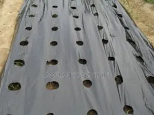 Save Water, Protect Soil With Mulch Film!